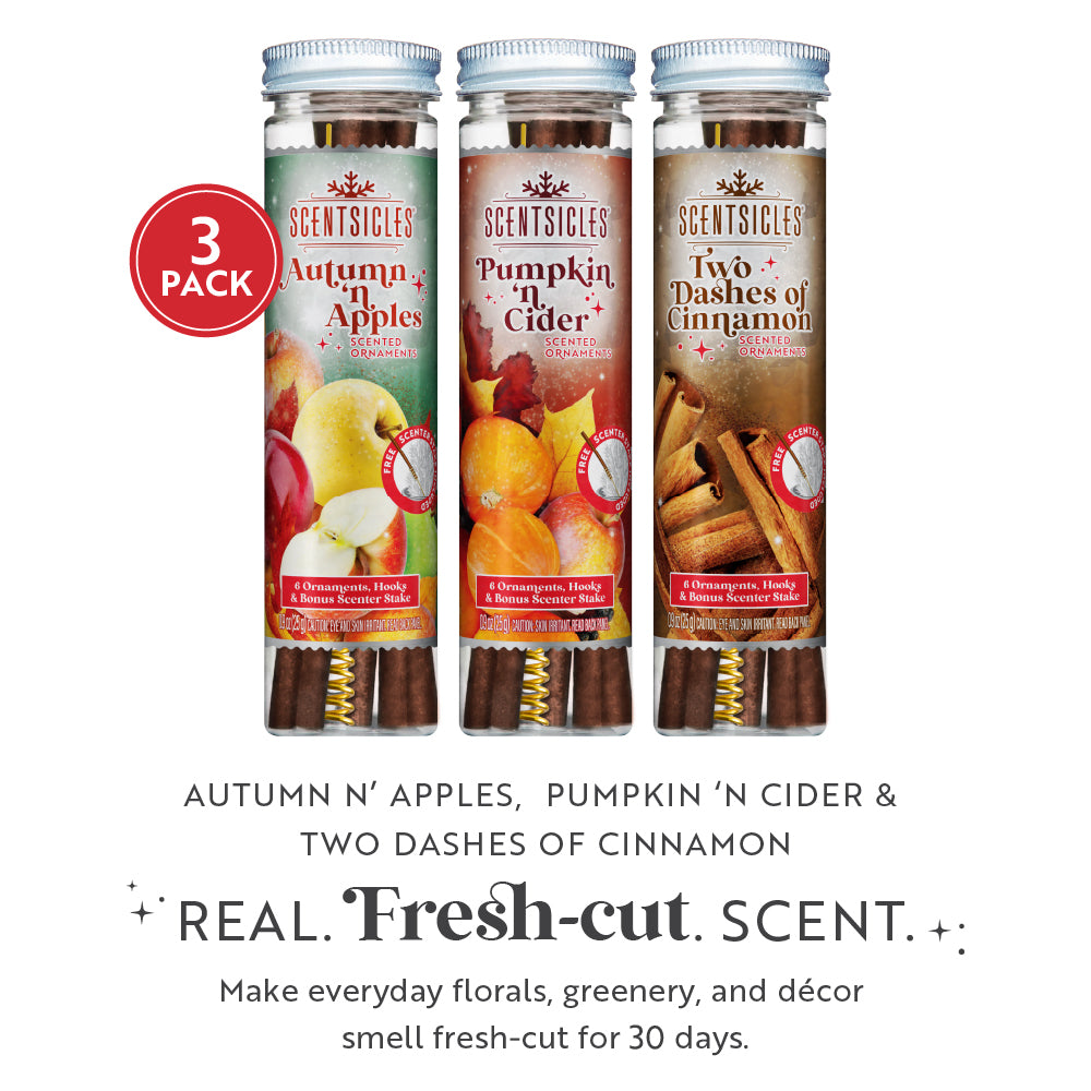 Autumn Scent Sticks Trio, Apple, Pumpkin and Cinnamon